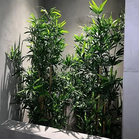 Apartamento Nordik